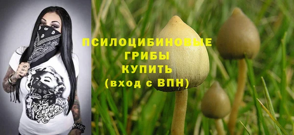 таблы Арсеньев