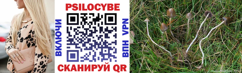 Псилоцибиновые грибы мухоморы  Междуреченск 