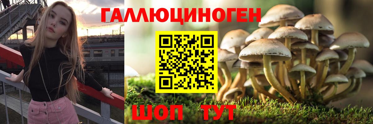 Галлюциногенные грибы Psilocybine cubensis  Галлюциногенные грибы Magic Shrooms  где купить наркоту  Междуреченск  Вход с VPN 